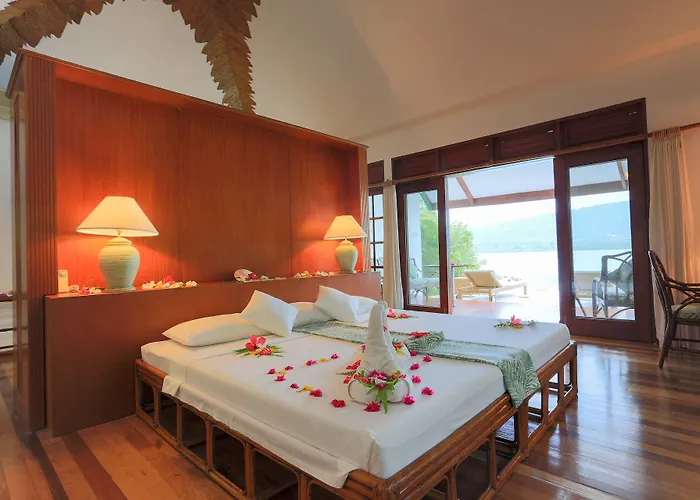 Island Wellness