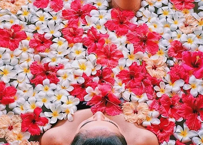 Island Wellness 5*